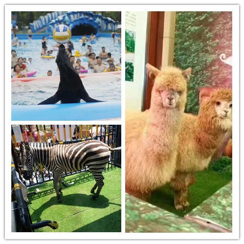 建甌對(duì)外出租企鵝展覽租賃