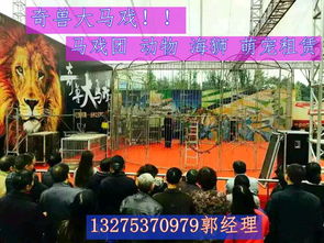 金灣區企鵝展覽哪里有