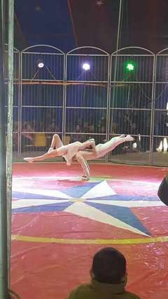 孫吳縣馬戲團演出租賃合作模式