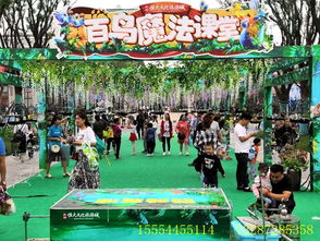 租賃鸚鵡表演的地方在哪里洛陽