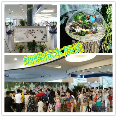 對外出租馬戲團雜技演出 全國供應_設備租售_演藝吧_中華演出網(wǎng)