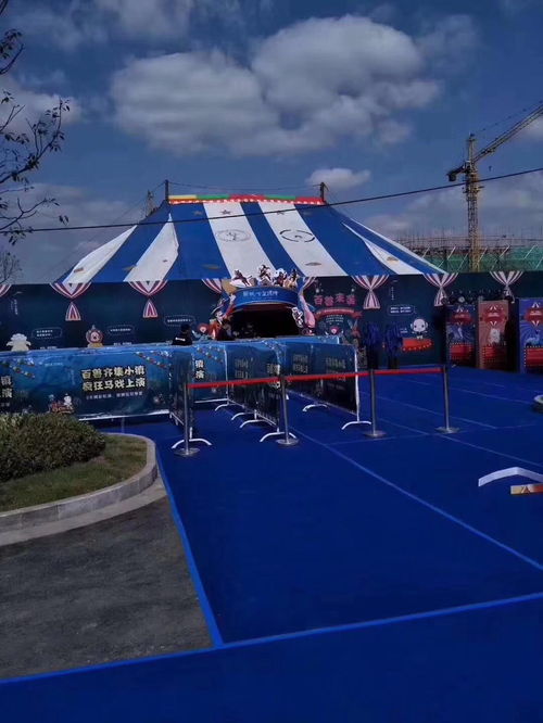 馬戲團演出出租策劃方案馬戲團表演節目那些