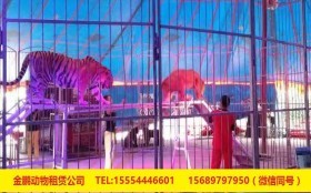 山東省即墨市馬戲團(tuán)出租環(huán)球飛車表演詳細(xì)解讀