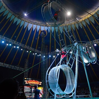 大型馬戲團(tuán)出租雜技表演租賃馬戲團(tuán)價格