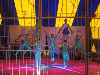 馬戲團(tuán)表演出租大型馬戲團(tuán)租賃萊蕪