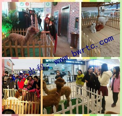 黔南什么地方有出租馬戲團(tuán)的嗎?_產(chǎn)品庫_金農(nóng)網(wǎng)