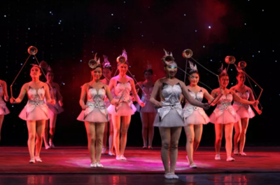 雜技馬戲團(tuán),李氏魔幻馬戲團(tuán)雜技震撼表演