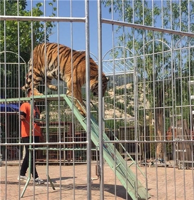 吉林省海洋生物魚(yú)缸展出租
