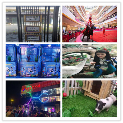 三明美人魚(yú)表演出租租賃