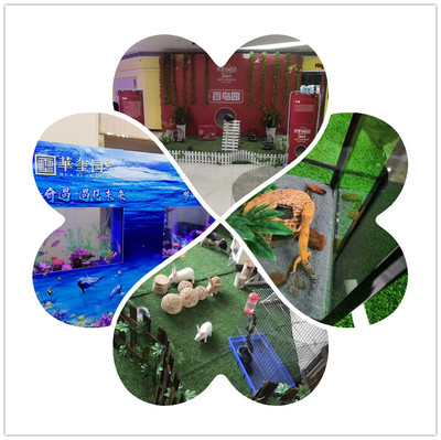 海獅表演出租現(xiàn)有檔期出租海獅表演的豐富多彩2022【今日熱點(diǎn)事件】