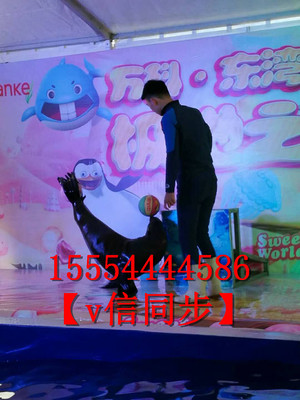 動(dòng)物表演馬戲團(tuán)表演金剛鸚鵡展覽