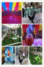 畢節(jié)區(qū)大方縣海洋觀賞魚(yú)展覽租賃