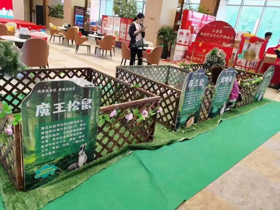 動物出租#馬戲團(tuán)表演出租#海獅表演出租#羊駝出