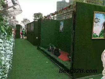 荊門市馬戲團(tuán)表演海獅房地產(chǎn)動物租賃公司