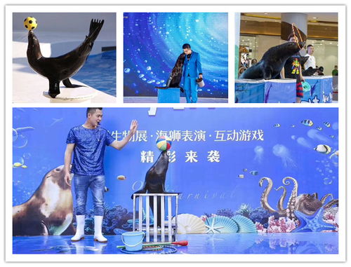 巴彥淖爾市哪里有馬戲團表演出租