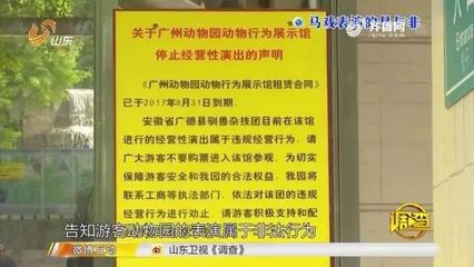 馬戲團老虎傷人事件引發行業存廢爭議