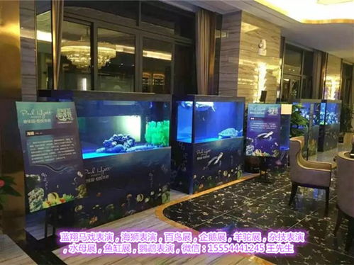 肇慶馬戲團表演出租 為各類活動增添歡笑的專業(yè)選擇